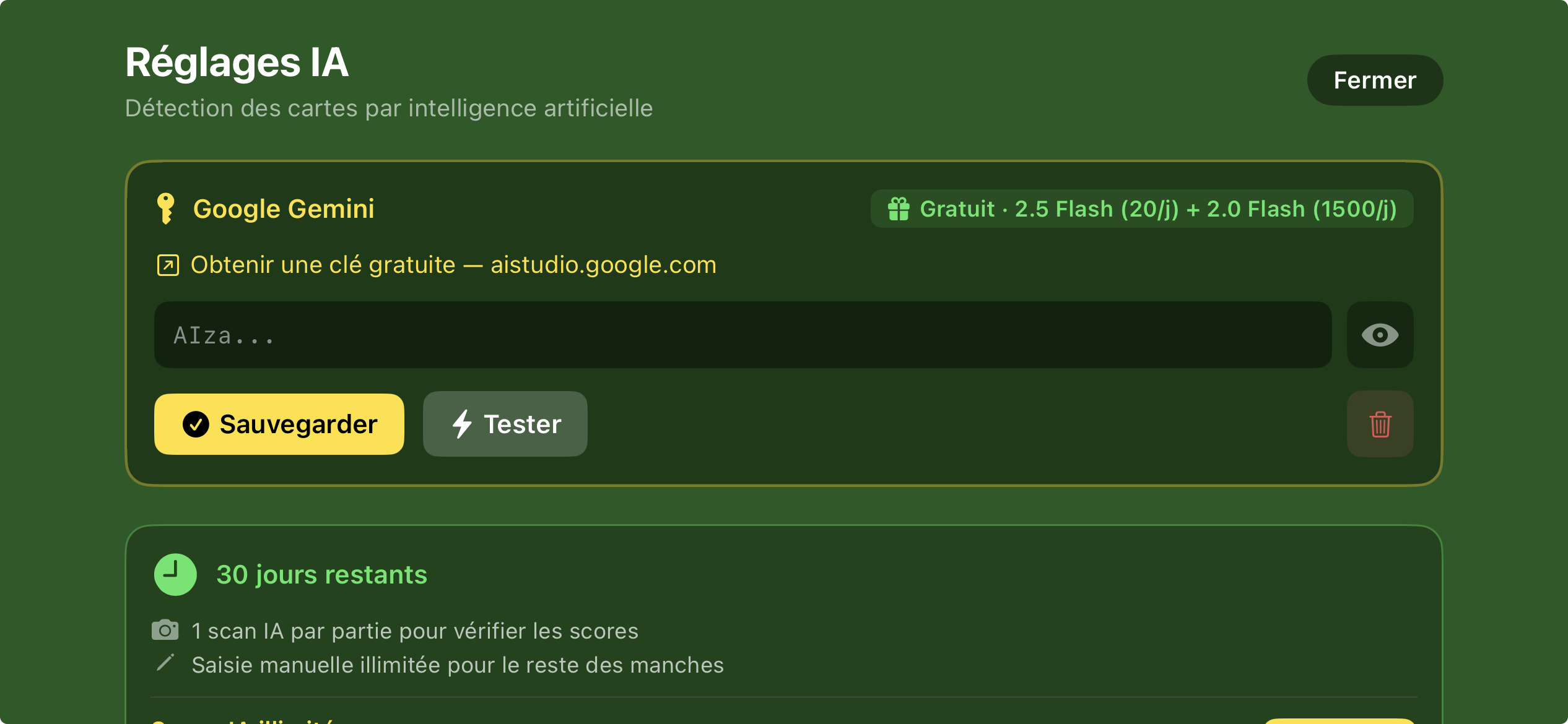 Écran de configuration de la clé IA Gemini
